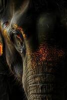 A close up of an elephant's face with orange spots photo