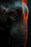 An elephant with red eyes and a dark background photo