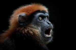 A red - headed monkey with its mouth open photo