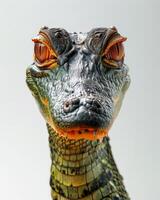A close up of a crocodile's head photo
