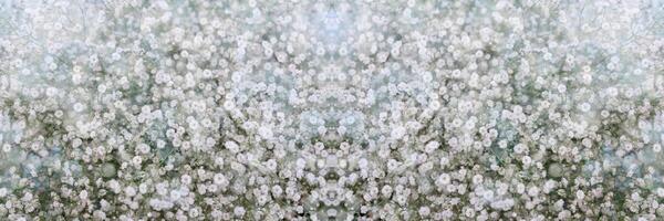 Small white flowers. photo