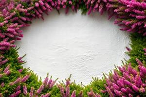 Heather flowers have an oval with a notch in the center with empty space for text or an image. Natural nature background. photo