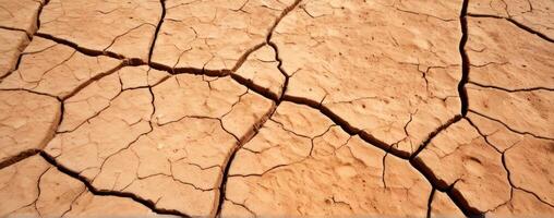 A close up of the cracked dirt in the desert photo