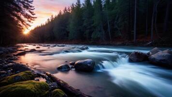 The sun is setting over a river in the forest photo