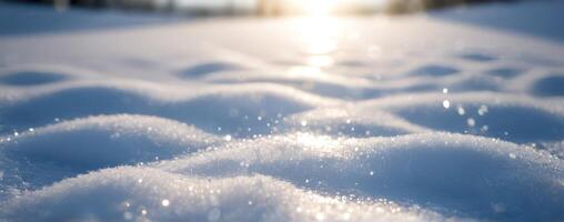 A close up of snow on the ground with the sun shining on it photo