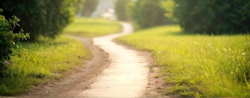 An image of a dirt road in the grass photo
