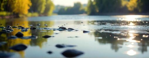 A river with rocks and trees in the background photo
