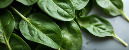 A close up of green spinach leaves photo
