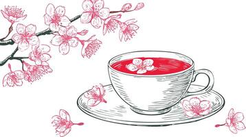 A cup of tea and a branch of cherry blossoms vector