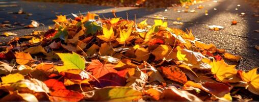 Autumn leaves on the ground in front of a street photo
