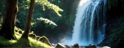 A waterfall in the middle of the forest photo