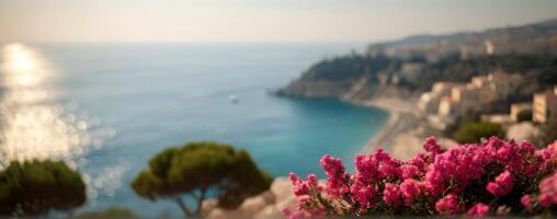 Pink flowers on a hill overlooking the ocean photo