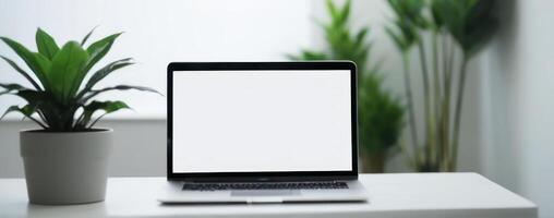 Laptop with blank screen on table with plant photo