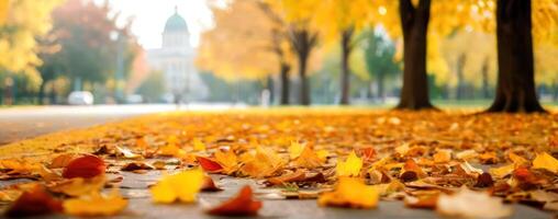 Autumn leaves laying on the ground in front of a city photo