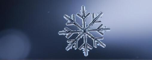 A snowflake is shown in the background photo
