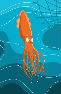 illustration of a squid swimming under the blue sea and a net above it