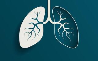 Simple 3D Paper Cut out Illustration of the human lungs. Left lung popped out above surface with shadow, right lung hollowed into background with floating lung bronchus. No text with copy space. vector
