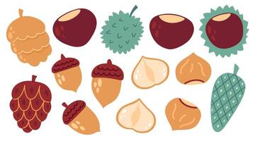 Autumn cozy design elements. Set of chestnut, acorn, nuts, cones,. Flat illustration isolated on white background vector
