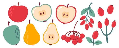 Autumn cozy design elements. Set of fall berries, rowan, rose hip, apple, pear. Flat illustration isolated on white background vector