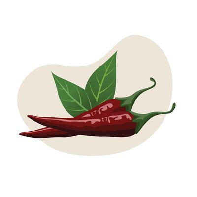 Red hot chillies illustration