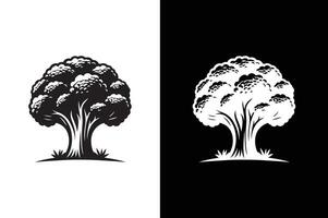 Broccoli Icon silhouette for design. Easily editable. Broccoli Icon vector