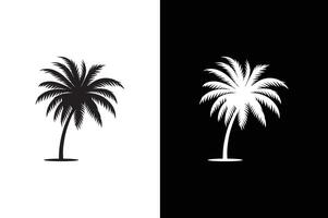 Palm tree icon template isolated. Coconut palm tree icon silhouette simple style vector