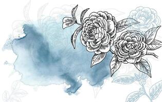 Realistic Hand Drawn Camellia Flower Illustration with Elegant Watercolor Background vector