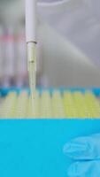 Medical research laboratory. A scientist works with a pipette and a test tube. Scientific laboratory of biotechnology, development of medicine and research in chemistry, biochemistry and experiments video