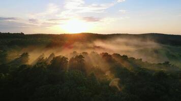 fabuloso pôr do sol a partir de uma pássaro olho visualizar. névoa iluminado de a Sol. voar sobre a floresta este é coberto com névoa às pôr do sol. video