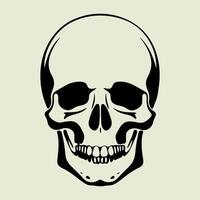 A skull is shown in a black and white drawing vector