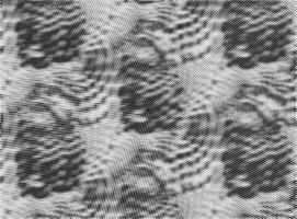 Hand drawn abstract moody grunge stipple halftone texture background and overlay vector