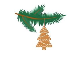 Sustainable Christmas concept. Christmas ornaments. Christmas tree twig decorated with gingerbread cookie isolated on white background. vector