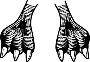 An engraving depicting a close-up of isolated avian legs. vector