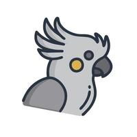 A grey parrot with yellow eyes on a white background vector