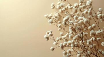 Elegant arrangement of white flowers and delicate branches on soft beige background photo