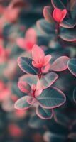 Vibrant red and green leaves contrasting against a soft blurred background in a lush garden photo