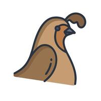 A brown bird with a long tail on a white background vector