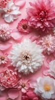 Colorful arrangement of pink and white flowers on a soft pink surface showcasing their beauty photo