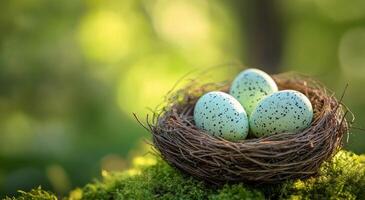 Three speckled eggs nestled in a natural bird's nest on a bed of moss during a sunny afternoon photo