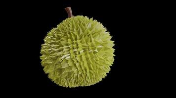 3D Animation of Durian on Alpha Channel video