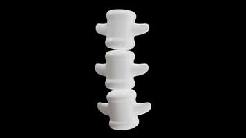 3D Animation of Spine on Alpha Channel video