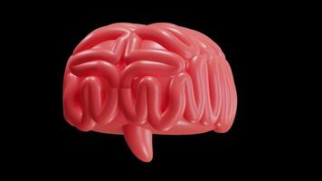 3D Animation of Brain on Alpha Channel video
