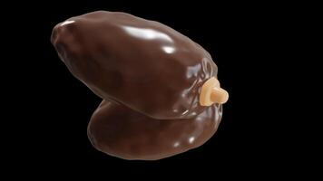 3D Animation of Dates Fruit on Alpha Channel video