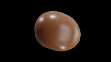 3D Animation of Kiwi on Alpha Channel video