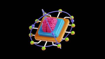 3D Animation of Ai Brain on Alpha Channel video