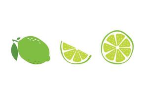Fresh Lime Collection. Whole and Sliced Citrus Illustrations vector