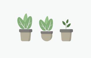 Greenery in Pots. Elegant Plant Illustrations Set. . EPS 10 vector