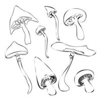 Set of fantasy mushrooms. Hand drawn illustrations collection. Forest plants sketches. Botanical set. Continuous Line drawing isolated on white background vector