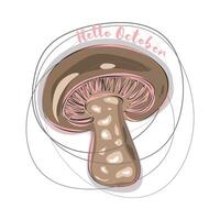 Hello October. Hello autumn. Template with colorful mushrooms and modern hand lettering. Sketch, design elements. illustration suitable for card, banner, poster vector