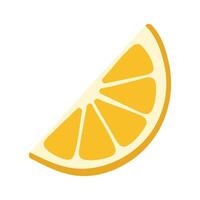 Hand drawn citrus slice isolated on white background vector